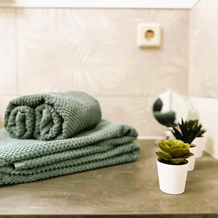 Galerie-ferienwohnung Im Schindlershof - Zentral Und Ruhig Eibenstock