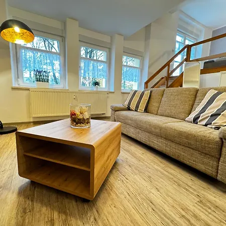 Galerie-ferienwohnung Im Schindlershof - Zentral Und Ruhig Apartment Eibenstock